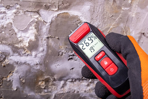Attic Mold Removal in Slidell, LA