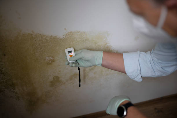 Best Mold Cleaning Services  in Slidell, LA